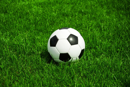 足彩官方正版下载APP界面展示