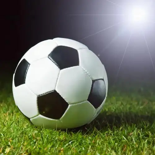 移动场景随时查询